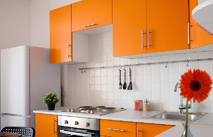 Modern Two Colour Combination For Kitchen Laminates