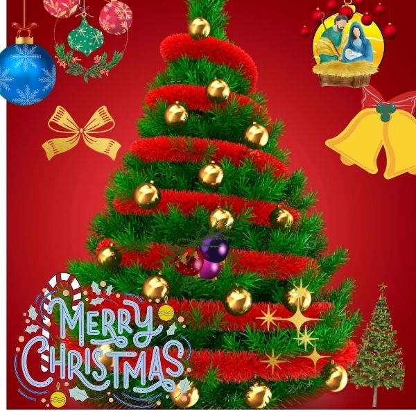 ClipartT4wnlpkjpay= Christmas Tree Png